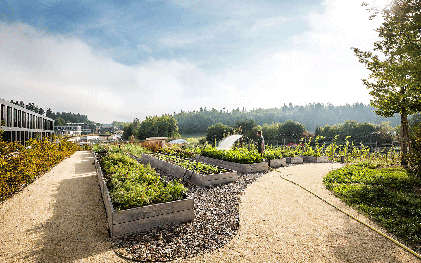 EHL-Graduate-School-campus-lausanne-summer-garden